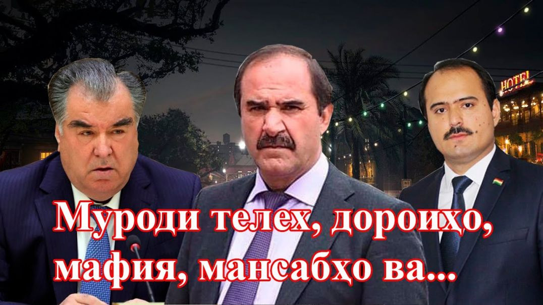 ⁣Муроди телехро мешиносед