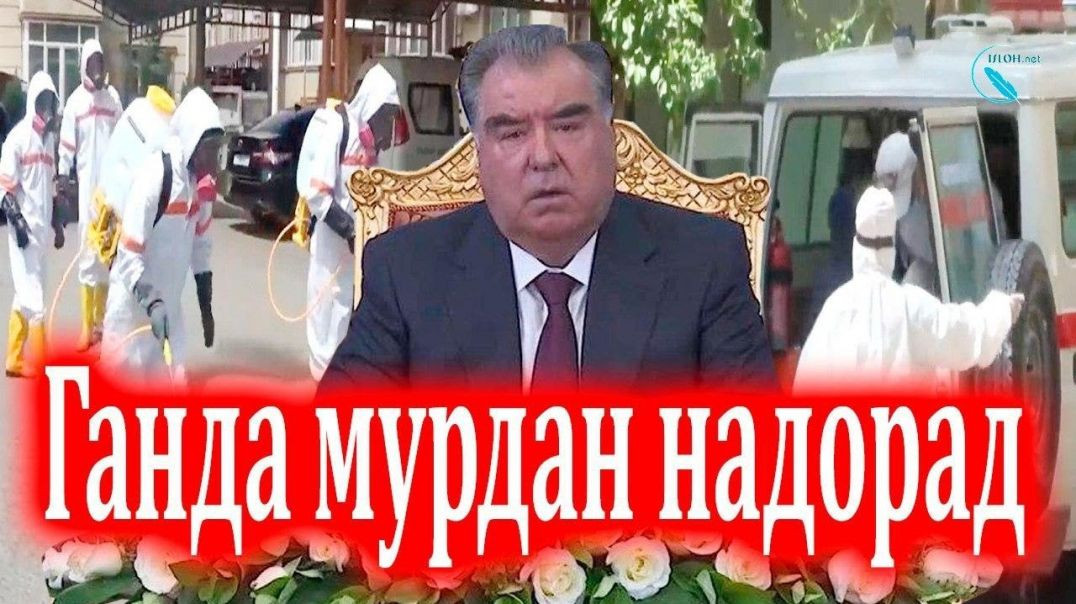 ⁣Ганда мурдан надорад