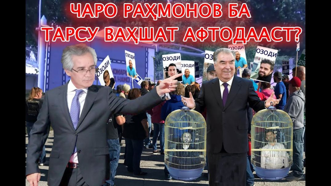 ⁣Чаро Раҳмонов ба тарсу ваҳшат афтодааст Бубин то бидонӣ!!!