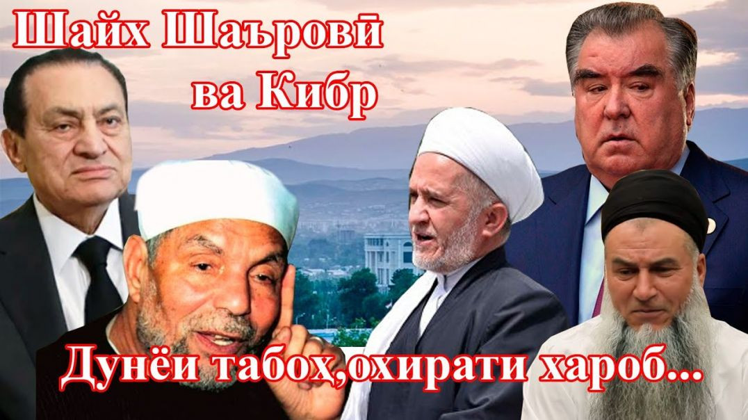 ⁣Шайх Шаъровиро метавон бо уламои мо қиёс кард