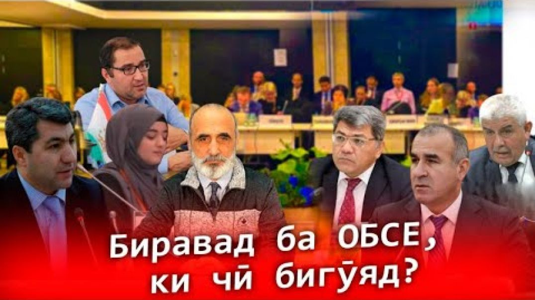 🛑Намояндагони Раҳмонов ба ОБСЕ бираванд, ки чӣ бигӯянд❓