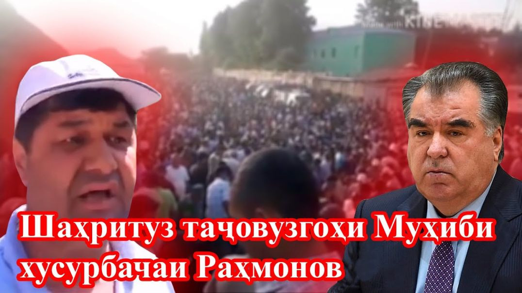 ⁣Шаҳритузиҳо аз зулм ва таҷовузи Муҳибби хусурбачаи “Пешво” ба дод омадаанд