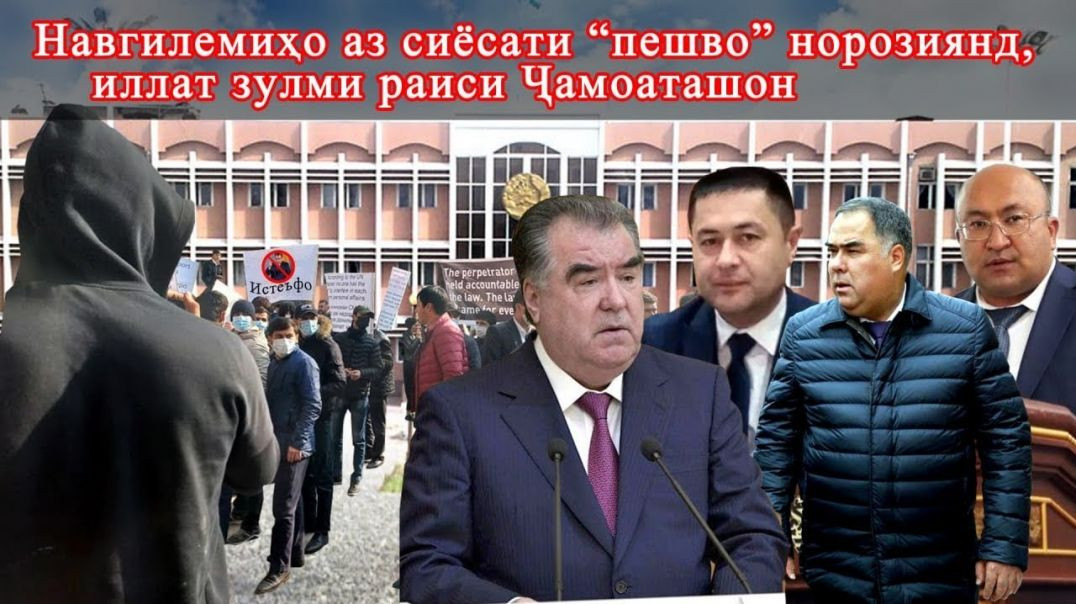 ⁣Навгилемиҳо аз сиёсати золимонаи “Пешво” норозиянд