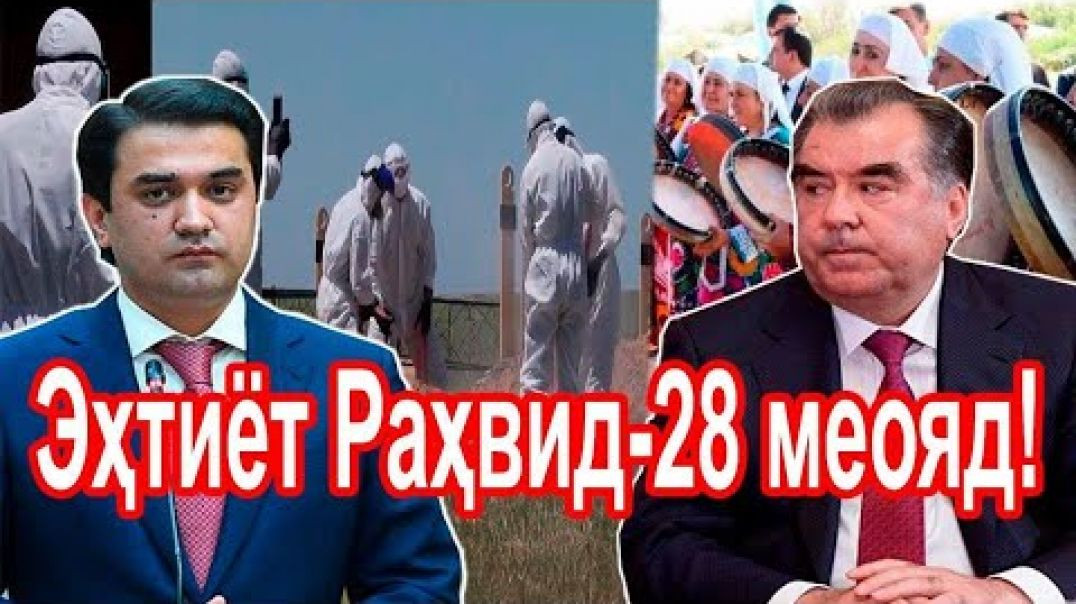 Раҳмонов Мастчоро ба хун менишонад?