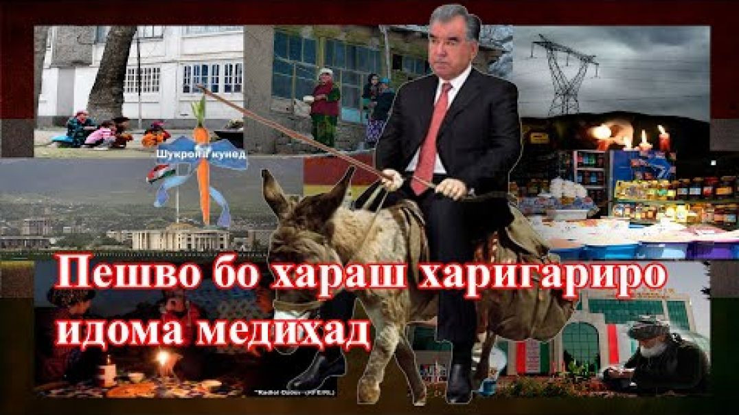 ⁣Хари Раҳмонов аз лой гузашт