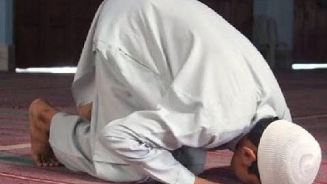 ⁣Дуъо дар дохили намоз ва дар ҳолати саҷда ҷоиз аст?  دعاء در‌ داخل نماز و در حالت سجده جائز است؟