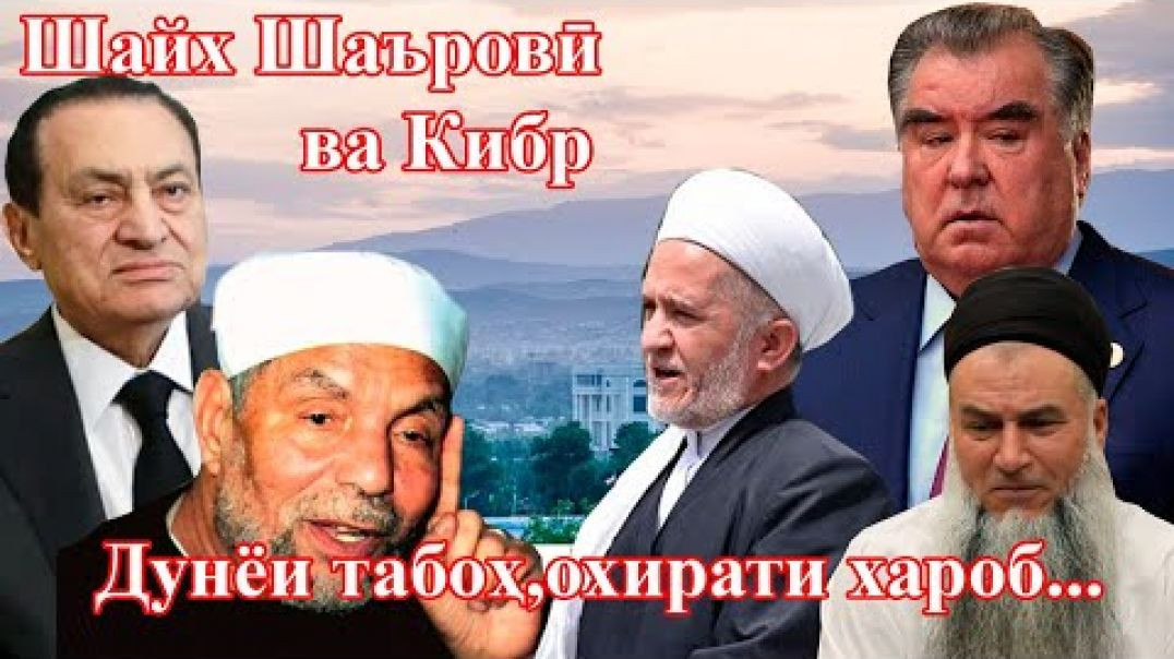⁣Шайх Шаъровиро метавон бо уламои мо қиёс кард?