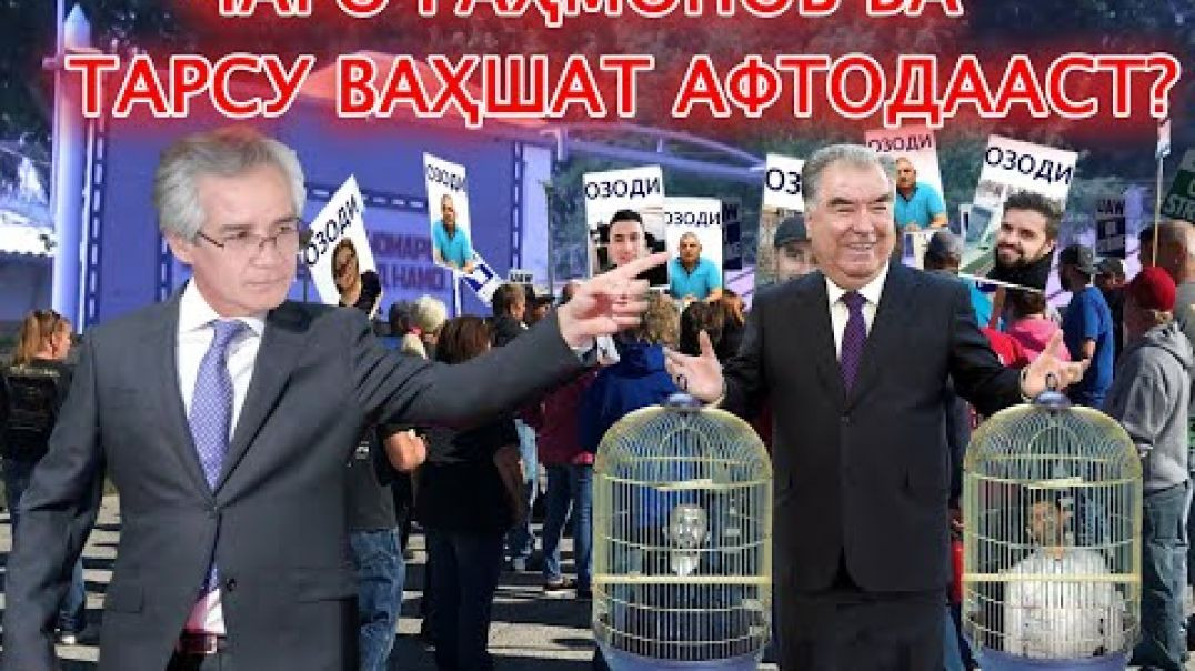 ⁣Чаро Раҳмонов ба тарсу ваҳшат афтодааст? Бубин то бидонӣ!!!