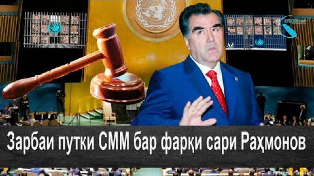 ⁣Зарбаи путки СММ бар фарқи сари Раҳмонов
