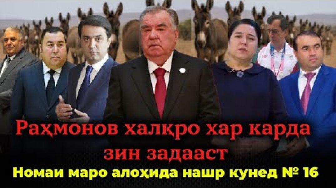 ⁣🔥 Раҳмонов халқро хар карда зин задааст!
