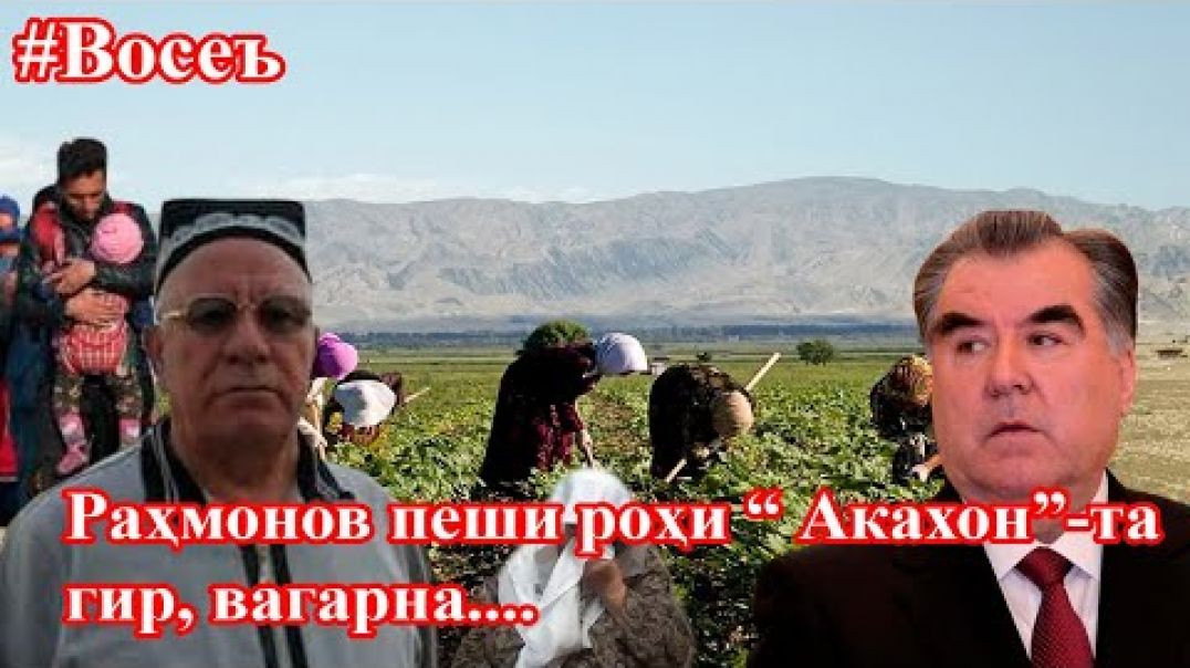 ⁣Шикояти Восеъгиҳо: “Раҳмонов 1600гк заминҳоямонро аз акахони Фиръавнат боз пас гардон”